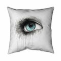 Fondo 20 x 20 in. Blue Eye In Watercolor-Double Sided Print Indoor Pillow FO2772064